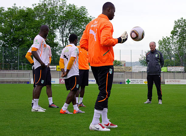 看到了运动 看到了运动